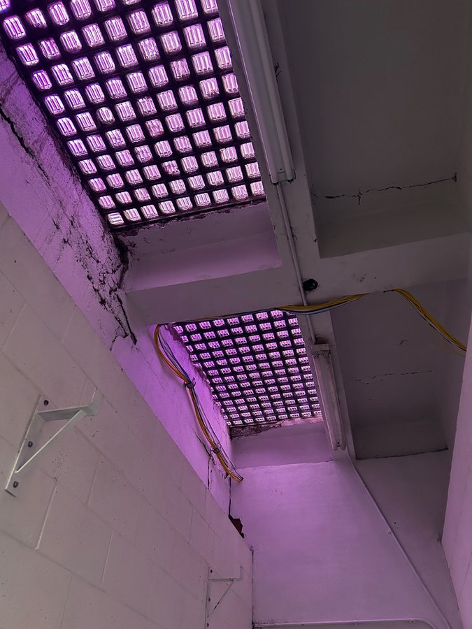 Two rectangular grid light panels glowing purple during installation inside the Tabernacle.
